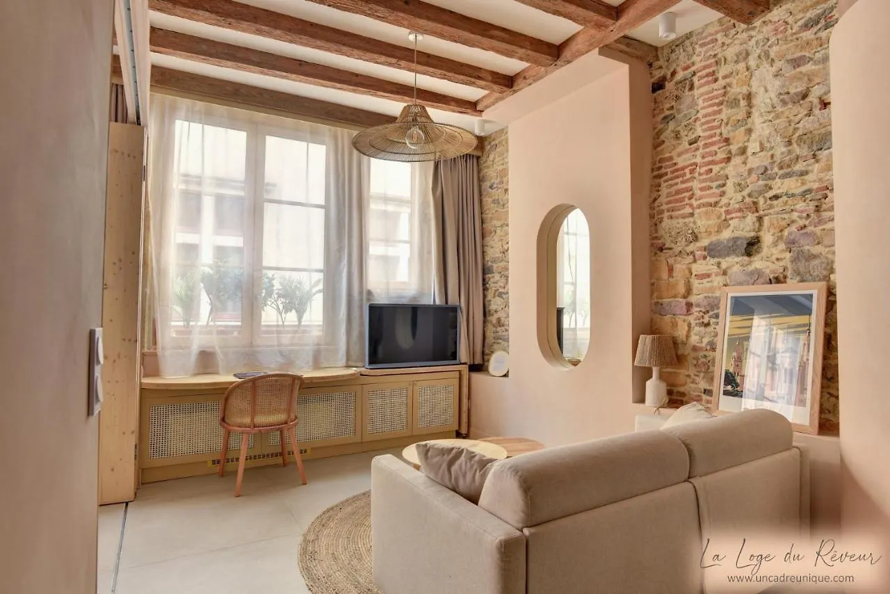 La Loge Du Reveur - Spa - Vieux-Lyon Apartment Lyon